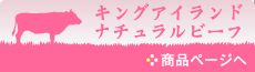 ���󥰥������ɥʥ�����ӡ���